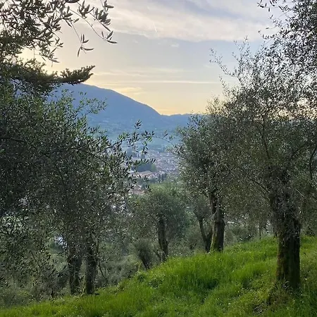In Mezzo Al Santa Lucia (Lucca)