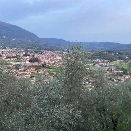 In Mezzo Al