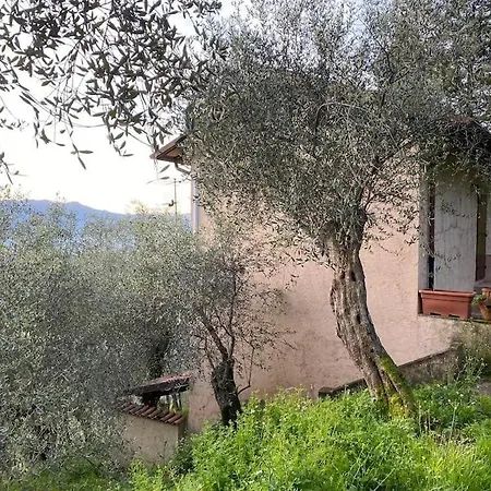 In Mezzo Al *