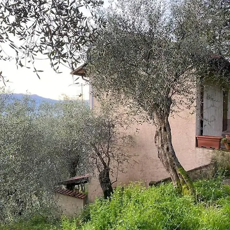 Holiday home In Mezzo Al Santa Lucia (Lucca)